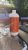 Power build Shampoo 900 ml
